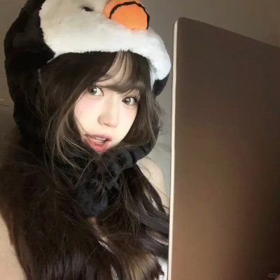 猫城 封面